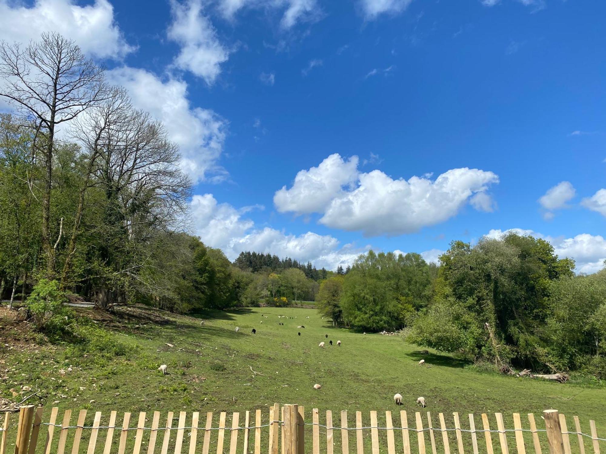 Appartement Petite Avec Vue Sur La Vallee
